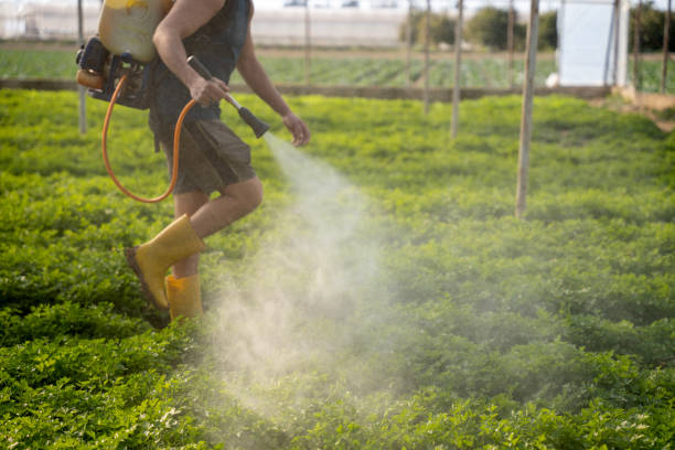 Best Mosquito Control Services  in Tashua, CT