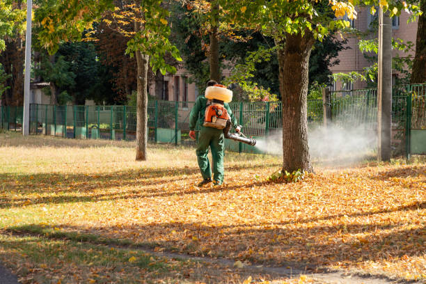 Best Wildlife Control Services  in Tashua, CT